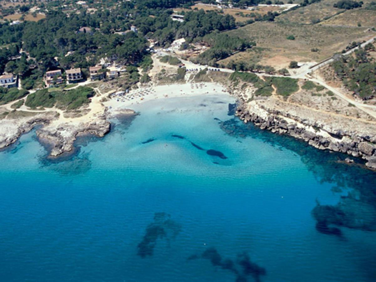 Villa Can Pau, Pool And Garden Close To The Beach Пуерто де ла Аркудия Екстериор снимка